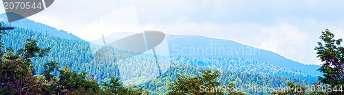 Image of Appalachian Mountains from Mount Mitchell, the highest point in 