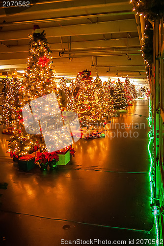 Image of decorated christmas trees