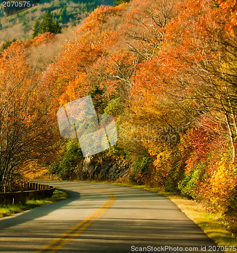 Image of autumn colors