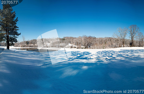 Image of Beautiful winter landscape with snow covered trees