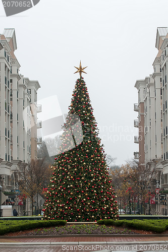 Image of christmas tree on plaza