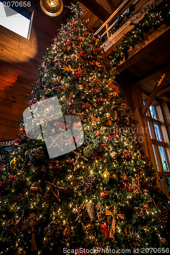 Image of decorated christmas tree indoor