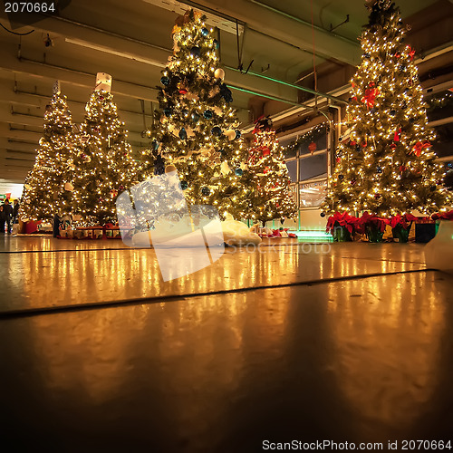 Image of decorated christmas trees