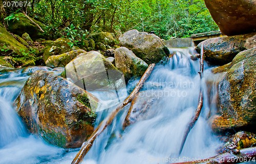 Image of mountain streams