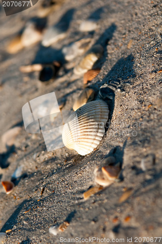 Image of Wilmington coastal scene, Wilmington, North Carolina