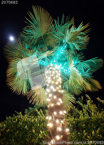 Image of outdoor christmas decorations