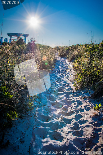 Image of Wilmington coastal scene, Wilmington, North Carolina