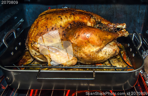 Image of thanksgiving turkey dinner