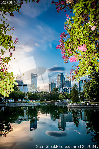 Image of charlotte skyline