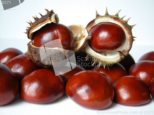 Image of chestnuts