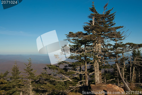 Image of Appalachian Mountains from Mount Mitchell, the highest point in 