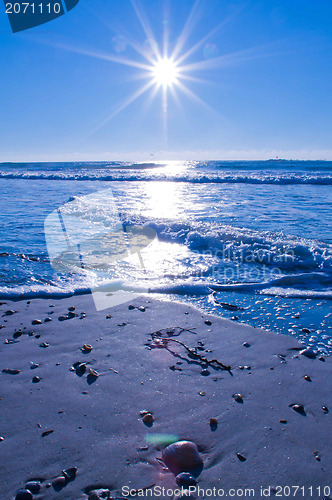 Image of Wilmington coastal scene, Wilmington, North Carolina