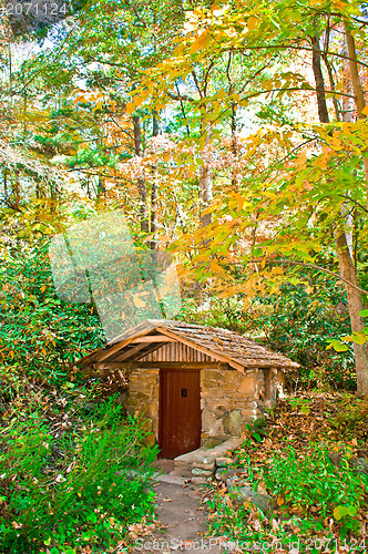 Image of autumn colors