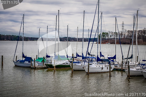 Image of yachts marina