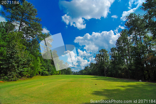 Image of golf course landscape