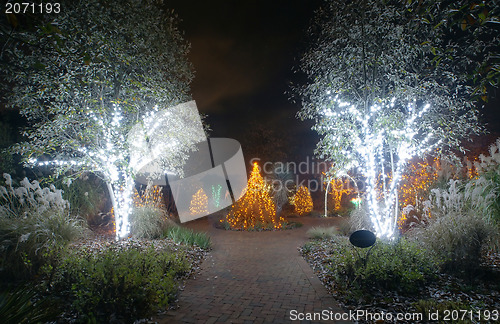 Image of outdoor christmas decorations