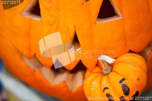 Image of pumpkin eating pumpkin