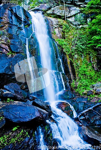 Image of mountain streams