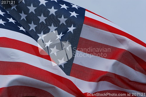Image of Stars and stripes