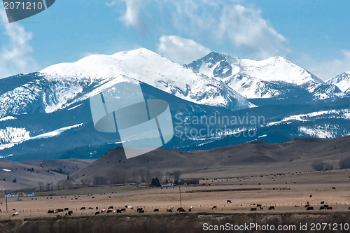 Image of rocky mountains road