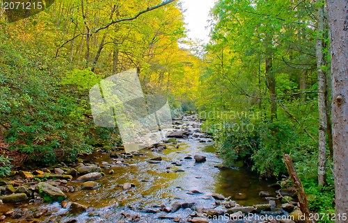 Image of mountain streams