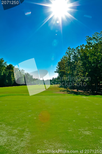 Image of golf course landscape