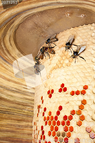 Image of bee hive