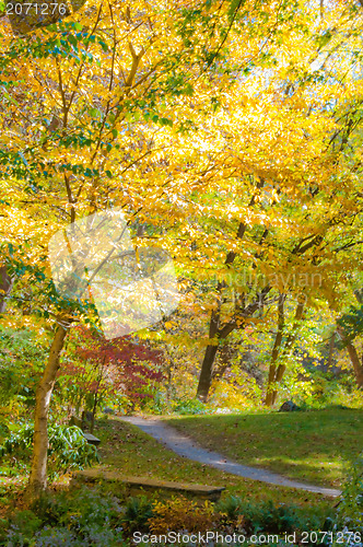 Image of autumn colors