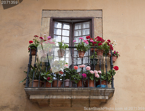 Image of Balcony with Geranium