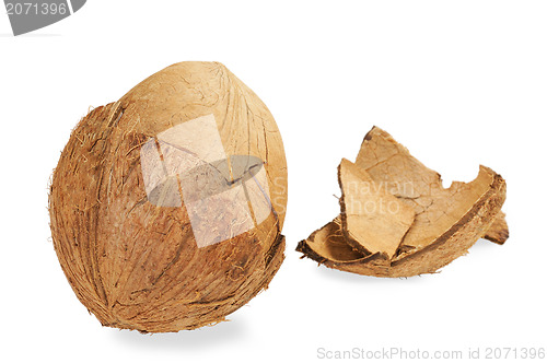 Image of Fresh coconut and coconut shells