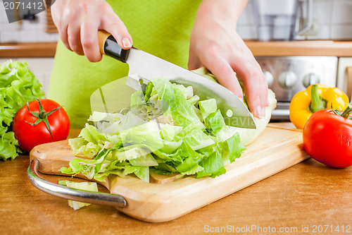 Image of Woman's hands cutting vegetables