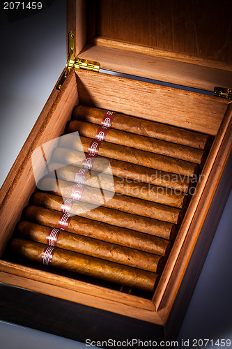 Image of Cigars in humidor