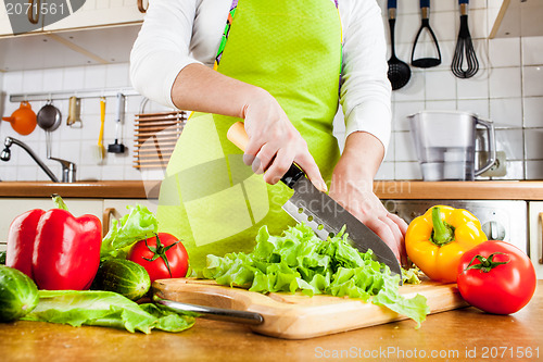 Image of Woman's hands cutting vegetables