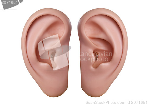 Image of Human ears
