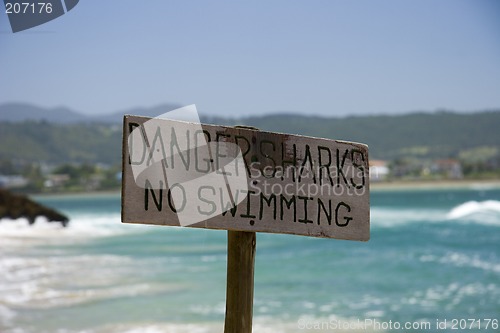 Image of Danger sharks - no swimming