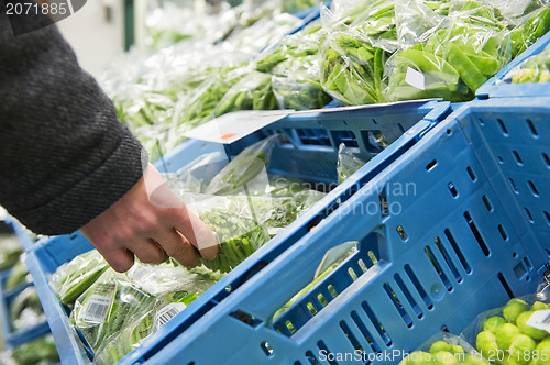 Image of Fresh Vegetables