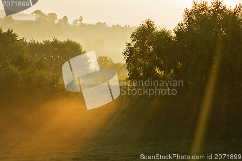 Image of Warm light