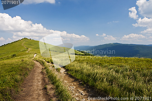 Image of Green mountain Carpathians