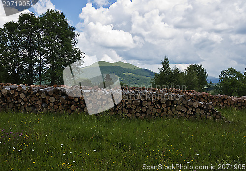 Image of Green mountain Carpathians