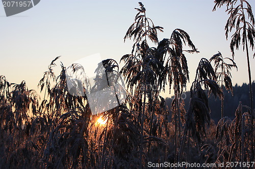 Image of Winter in Oslo