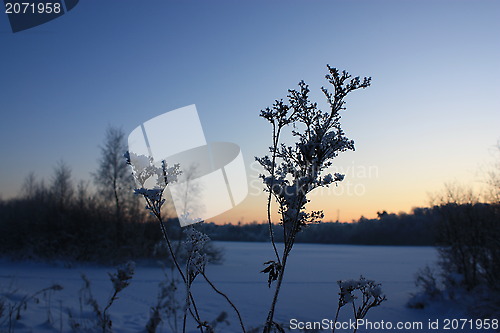 Image of Winter in Oslo