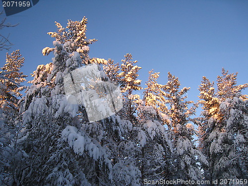 Image of winter in Oslo