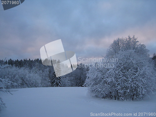 Image of winter in Oslo