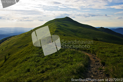 Image of Green mountain Carpathians