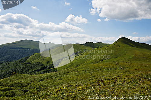 Image of Green mountain Carpathians