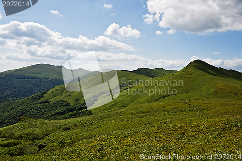 Image of Green mountain Carpathians