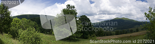 Image of Panoramic green mountain carpatians