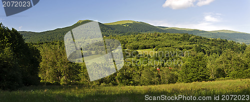 Image of Panoramic green mountain carpatians