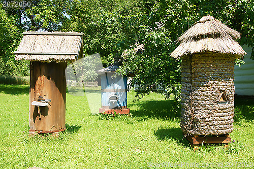 Image of Old hives