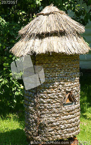 Image of Old hives